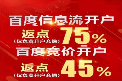 竞价代运营策略调整：一则电商行业的成功故事
